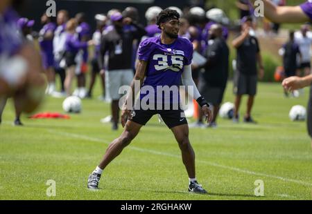 Minnesota Vikings cornerback C.J. Coldon Jr. (35) celebrates a defensive  stop against the Arizona Cardinals during the first half of an NFL  preseason football game, Saturday, Aug. 26, 2023, in Minneapolis. (AP