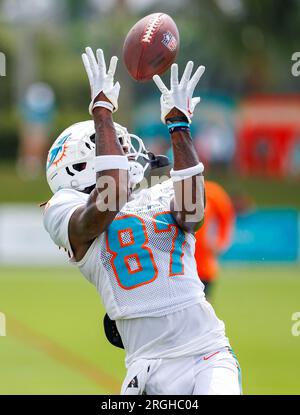 Miami Dolphins wide receiver Daewood Davis (87) prior to an NFL