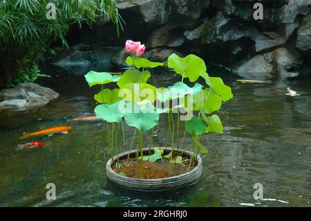 Lush green landscape with vibrant flowers, serene pond, and reflective river. Stock Photo