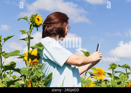 Happy woman taking selfie on sunflowers background, selective focus,communication online,having video call standing outdoor.Technology concept,post on Stock Photo