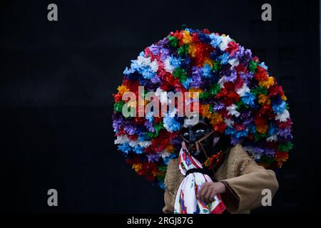 Tixtla, Guerrero, Mexico. 10th Aug, 2023. Member of the Tlacololeros dance with flashy ornaments on his hat. (Credit Image: © Luis E Salgado/ZUMA Press Wire) EDITORIAL USAGE ONLY! Not for Commercial USAGE! Credit: ZUMA Press, Inc./Alamy Live News Stock Photo