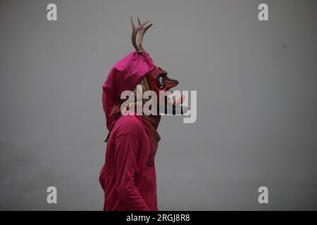 Tixtla, Guerrero, Mexico. 10th Aug, 2023. Member of the dance of the devils of the community of Tixtla Guerrero. (Credit Image: © Luis E Salgado/ZUMA Press Wire) EDITORIAL USAGE ONLY! Not for Commercial USAGE! Credit: ZUMA Press, Inc./Alamy Live News Stock Photo