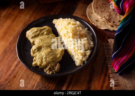 Pipian, also known as mole verde, food from mexico and other latin american countries, chicken meat bathed in mole sauce made with pumpkin seeds, drie Stock Photo