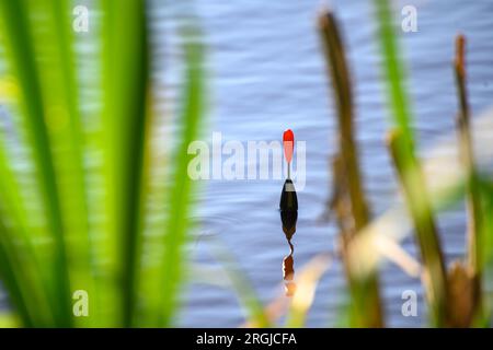 Fishing bobber floating in the small pond. Fishing float in the lake Stock  Photo - Alamy