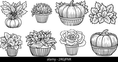 Set of autumn coloring pages with pumpkins and sunflowers.Autumn mood black and white linear illustration Stock Vector