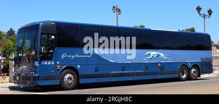 Greyhound bus operated by Greyhound Lines Inc. Dallas TX Stock Photo