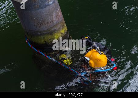Kiel, Deutschland, August 2023 Hafenimpressionen ein Berufstaucher kontrrolliert die Poller einer Anlegestelle auf eventuelle Schäden Stock Photo