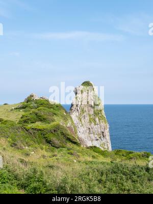 Monkey Rock created by nature over many years looks just like a monkey facing away is a popular tourist destination. Stock Photo