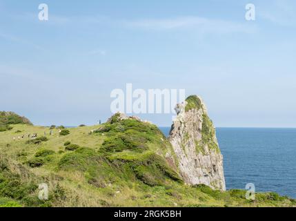 Monkey Rock created by nature over many years looks just like a monkey facing away is a popular tourist destination. Stock Photo