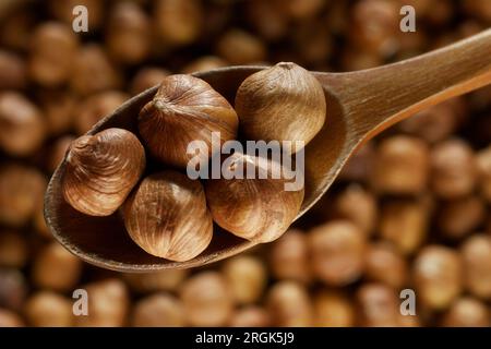 Peeled hazelnuts. Hazelnut kernels lie in wooden spoon. Top view of nuts close-up. Advertising photography for marketplaces or online stores. Stock Photo
