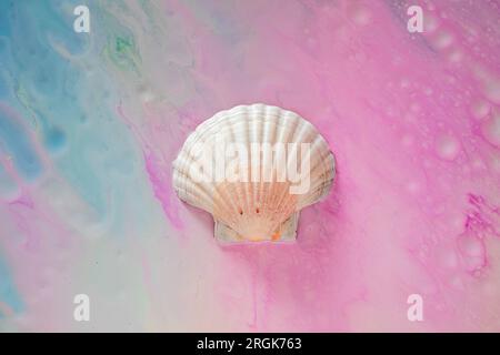 Big white seashell on colorful blue and pink paint background Stock Photo