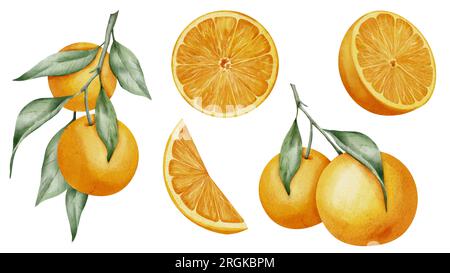 Different fruit slices clipart set. Hand drawn watercolor