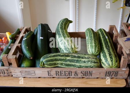 Fresh Vegetable Marrows for sale in an old wooden tray. Stock Photo