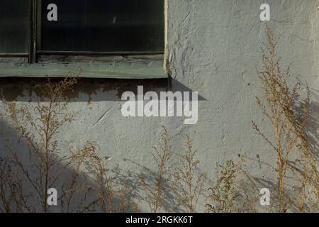 Window in building. Old window in industrial building. Unpainted wall. Peeling house. Stock Photo