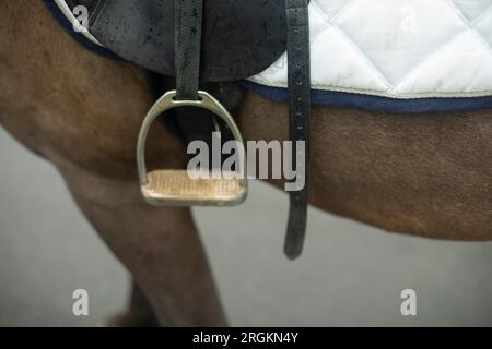 Saddle on horseback. Horse in detail. Steel foot stirrups. Equipment for rider. Stock Photo