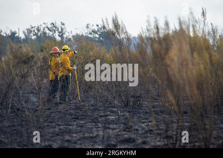 Fire Hogs August 10, 2023: Austin Fire Department Firefighters mop-up after a ...