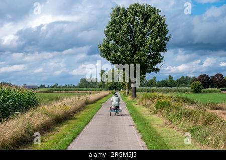Portrait of a 40 yo woman with the Down Syndrome, Meerhout, Belgium Stock Photo