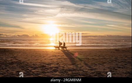 Silhouettes of senior couple, man and woman with dogs walking along sand beach enjoying beautiful summer sunset.Oregon shore beach sunset view with pe Stock Photo