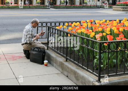 A man stops by a flower bed to use his cell phone in the Streeterville neighborhood of downtown, Chicago, Illinois on May 8, 2018. A report by Common Sense Media found that 75% of Americans say they are addicted to their smartphones checking them roughly once every 10 minutes. Experts suggest smartphone addiction can impact brains negatively and lead to depression, anxiety, behavioral and compulsive disorders. (Photo By: Alexandra Buxbaum/Sipa USA) Credit: Sipa USA/Alamy Live News Stock Photo