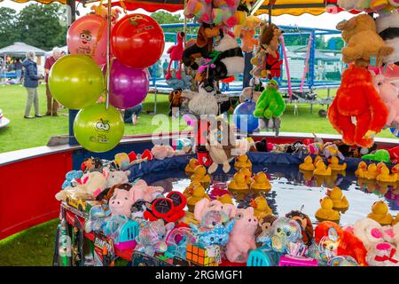 Hook a floating plastic duck and possibly win a prize in a funfair Stock Photo