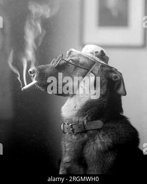cigarette smoke and dogs Second-Hand Poster Master Vintage Dog Smoking