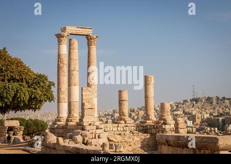 Amman Citadel hill with ruins of Roman Hercules Temple with its cloumns, Jordan against blue sky Stock Photo