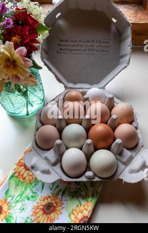Farm Fresh free range organic dozen rainbow chicken eggs on display in unique octagonal recyclable container top view Stock Photo