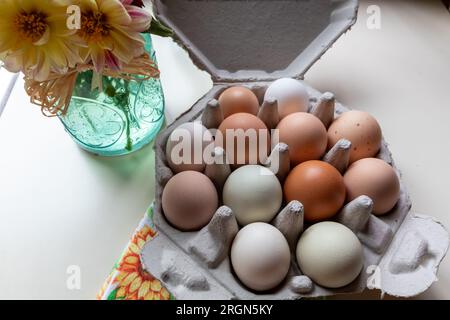 Farm Fresh free range organic dozen rainbow chicken eggs on display in unique octagonal recyclable container top view Stock Photo