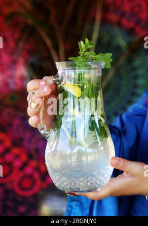 Shikanji is lemonade originating from the Punjab/India. Also known as shikanjvi or Nimbu Pani or sherbet. popular summer cold drink Stock Photo