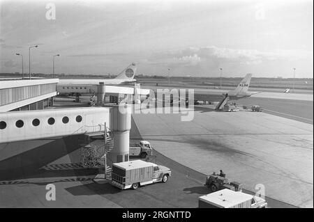 Airplanes parked at gates, Airport Schiphol in the Netherlands ca. 1972 Stock Photo
