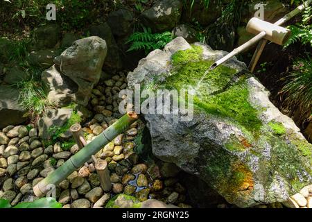 A Japanese Bamboo Water Fountain Shishi-Odoshi in Zen Garden Stock Photo