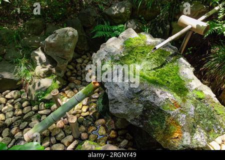 A Japanese Bamboo Water Fountain Shishi-Odoshi in Zen Garden Stock Photo