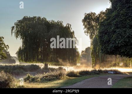 Evaporating mist over ponds at Bushy Park Surrey at sunrise Stock Photo