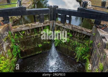 Weed covered lock gates on the Rochdale canal at Hebden Bridge. Stock Photo