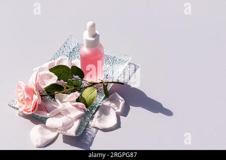 Beautiful matte cosmetic bottle with pipette with organic product, rose oil or serum for personal care. pastel background. A copy space. Stock Photo