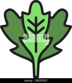 Arugula Icon image. Suitable for mobile application. Stock Vector