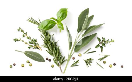 Fresh organic Mediterranean herbs and spices elements isolated over a white background, sage, rosemary twig and leaves, thyme, oregano, basil, pepper Stock Photo