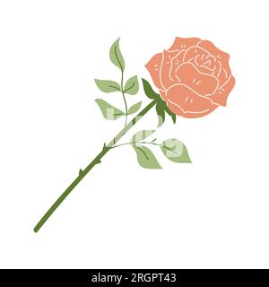 One blooming rose on a twig with leaves. Flat hand drawn pink rose flower. Botanical illustration in a trendy flat style. Vector decorative element is Stock Vector