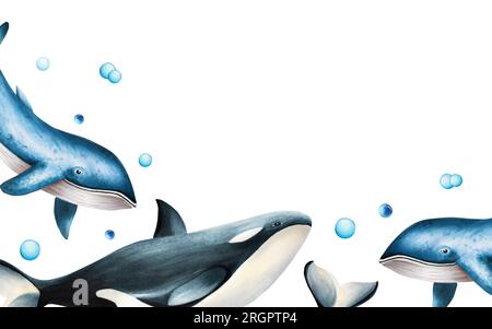 Watercolor composition with blue whale and killer whale isolated on white background. Hand painting realistic Arctic and Antarctic template with ocean Stock Photo