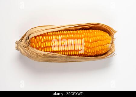 dried flint corn on the cob inside the straw, seen from above, isolated on white background Stock Photo