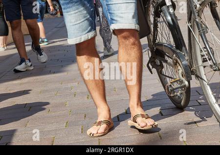 11 August 2023, Lower Saxony, Lüneburg: A young man in Bermuda jeans and flip-flop sandals pushes his bicycle through the pedestrian zone on this sunny and warm summer day. Photo: Georg Wendt/dpa Stock Photo