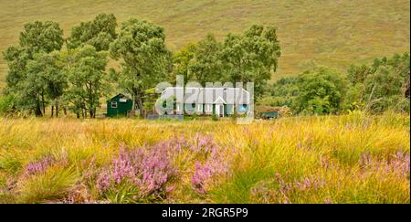 Loch Ossian Corrour Scotland the Youth Hostel building and purple heather in summer Stock Photo