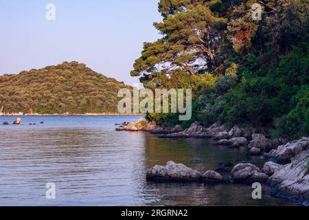 Gulf of the Adriatic Sea, beautiful view from beach. Green pine trees, moored rocks and calm waters. Burn the forest in the background. Stock Photo