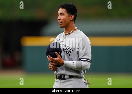 Chicago, USA. 09th Aug, 2023. New York Yankees catcher Kyle Higashioka (66)  warms up during a MLB regular season game between the New York Yankees and  Chicago White Sox, Wednesday, August 9