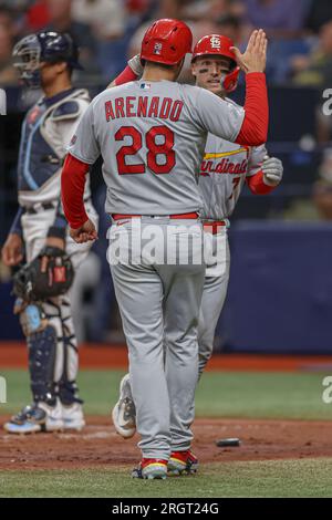 St. Petersburg, FL USA; St. Louis Cardinals catcher Andrew Knizner (7) is congratulated by third baseman Nolan Arenado (28) after hitting a home run d Stock Photo