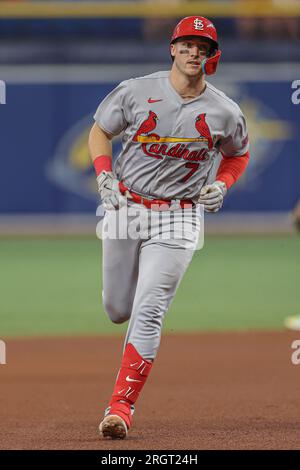 St. Petersburg, FL USA; St. Louis Cardinals catcher Andrew Knizner (7) hits a home run during an MLB game against the Tampa Bay Rays on Thursday, Augu Stock Photo