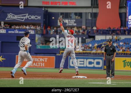 Tampa Bay Rays' Curtis Mead (25) against the St. Louis Cardinals