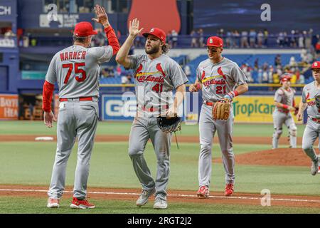 San Diego Padres' Matt Carpenter singles during the second inning of a  baseball game against the St. Louis Cardinals Monday, Aug. 28, 2023, in St.  Louis. (AP Photo/Jeff Roberson Stock Photo - Alamy