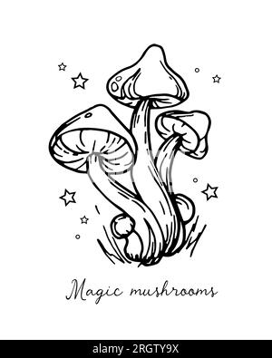 Graphic vintage mushrooms with stars. Botanical illustrations. Witch mushrooms for Halloween. Graphic vintage doodle illustration with space magic mus Stock Vector