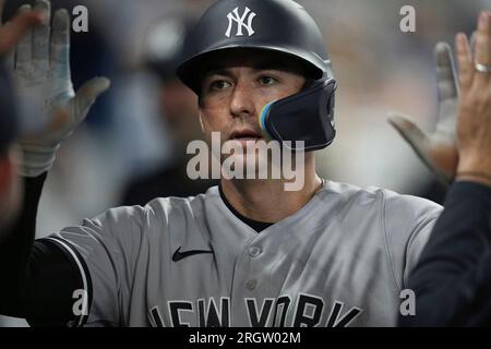 New York Yankees catcher Kyle Higashioka (66) warms up during a MLB regular  season game between the New York Yankees and Chicago White Sox, Wednesday  Stock Photo - Alamy